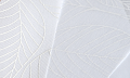 Рулонная штора FixLine SHADE 65 см, белый